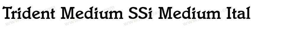 Trident Medium SSi Medium Italic字体转换
